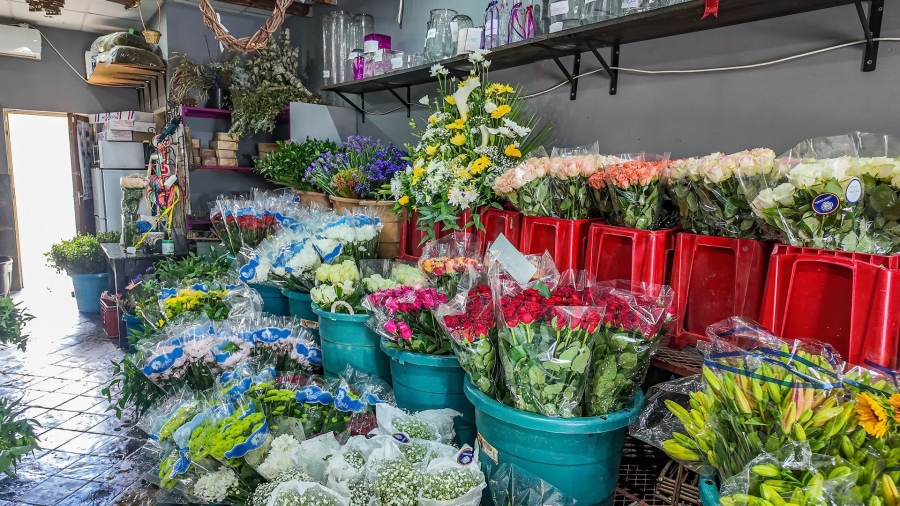 Commercial Property for Sale in Bodorp North West